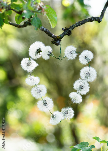 Handmade dandelions heart decor hangin on a tree branch in the garden. Creative crafts with natural material. Simple DIY concept