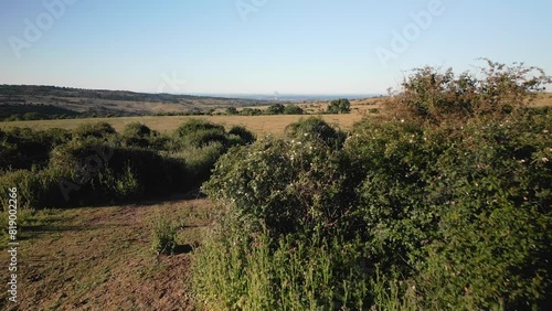 Countryside next to the city and skyline of the city of Madrid in the background on a spring day, Spain. photo