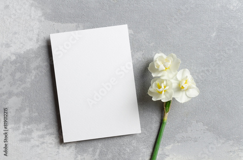 Invitation or greeting card mockup with spring daffodils flowers