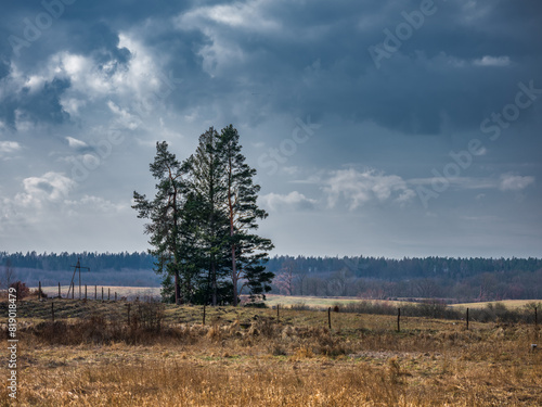 Fototapeta Naklejka Na Ścianę i Meble -  Chmury
