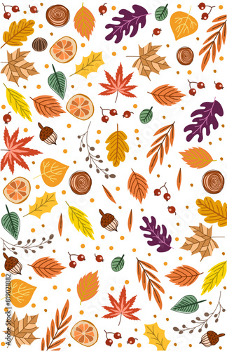 wallpaper of various types of dry leaves in autumn on white