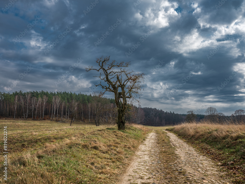 Fototapeta premium Droga
