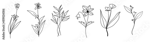 Line Flower Outline for decoration and line vector