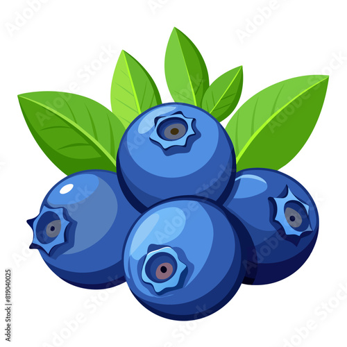 blueberries with leaves