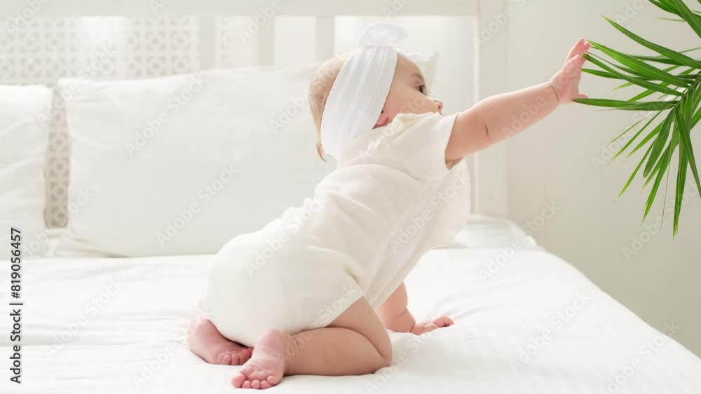 Baby girl happily playing or reaching for the leaves of the indoor green flower at home, cute newborn baby at home on a white bed Baby girl happily playing or reaching for the leaves of the indoor green flower at home, cute newborn baby at home on a white bed
