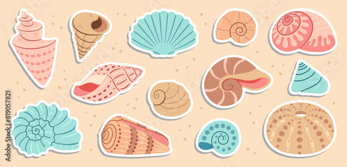 Cute sea shells sticker set. Trendy flat style seashell collection. Ocean underwater sink seashell conch aquatic mollusk. Hand drawn spiral snail, marine animals. Vector illustration