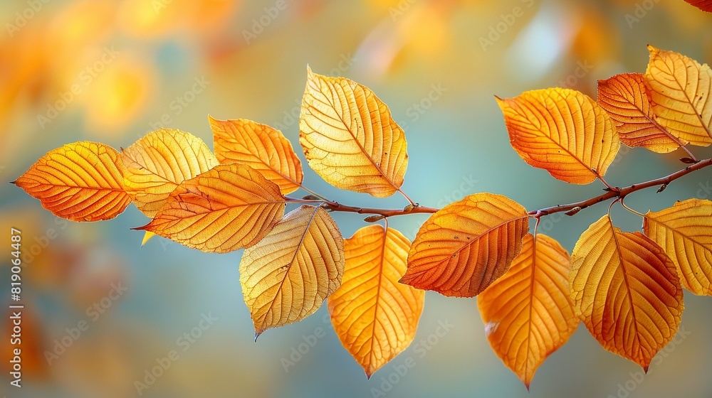 Nature Background Bright and colorful autumn leaves on a branch Illustration image, Nature Background Bright and colorful autumn leaves on a branch Illustration image,