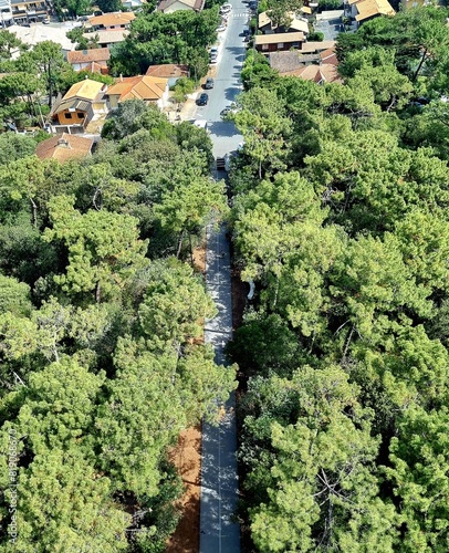 Aerial view from top of le Phare du Cap Ferret, Cap Ferret Lighthouse, France photo