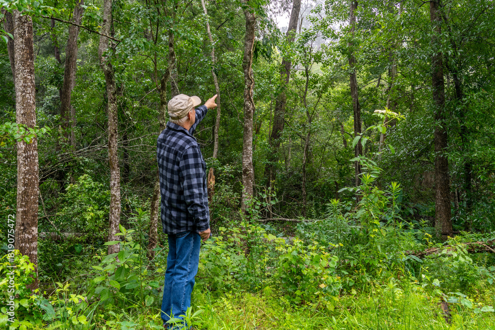 Senior man pointing at something in the trees of a dense forest in southeastern Texas.