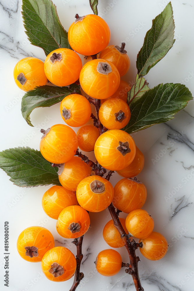 Fresh ripe physalis fruits on branch on marble background