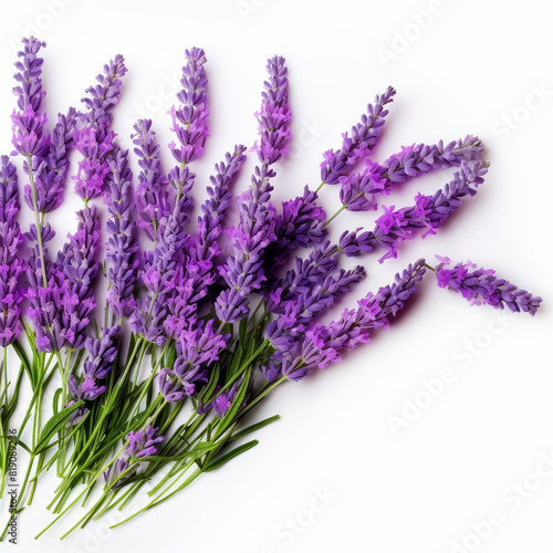 A bouquet of purple flowers with a white background