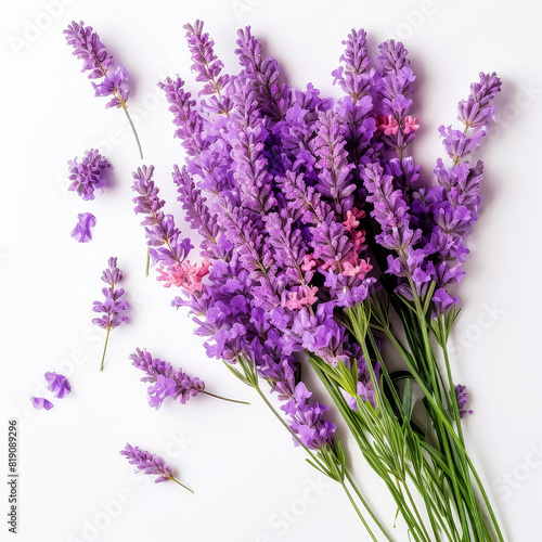 A bouquet of purple flowers with a white background