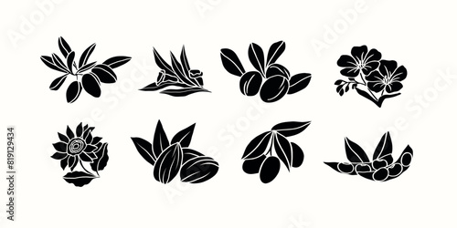Flat vector cosmetic plants and flowers. Argan, sesame, shea, flax, sunflower, almond, olive, soybeans