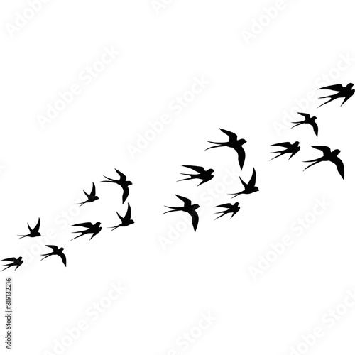 A flock of flying birds, swallow Flying Silhouettes, group of birds in the sky 