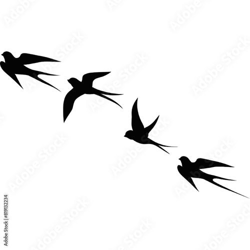 A flock of flying birds, swallow Flying Silhouettes, group of birds in the sky 