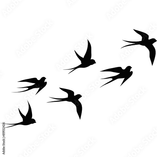A flock of flying birds, swallow Flying Silhouettes, group of birds in the sky 