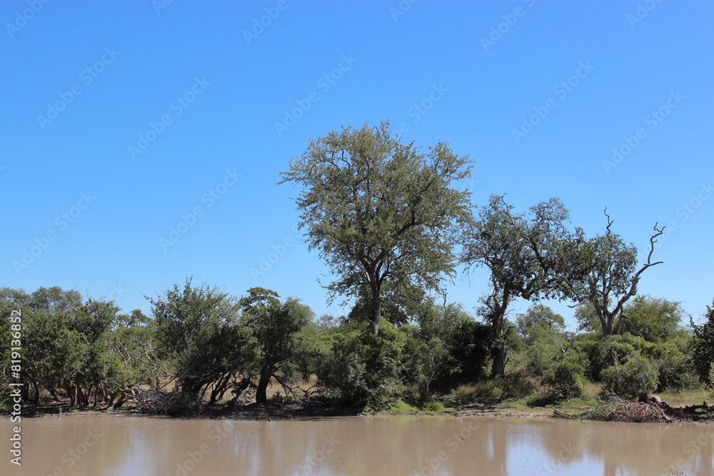 Krügerpark - Gardenia hide / Kruger park - Gardenia hide / Krügerpark - Gardenia hide / Kruger park - Gardenia hide /