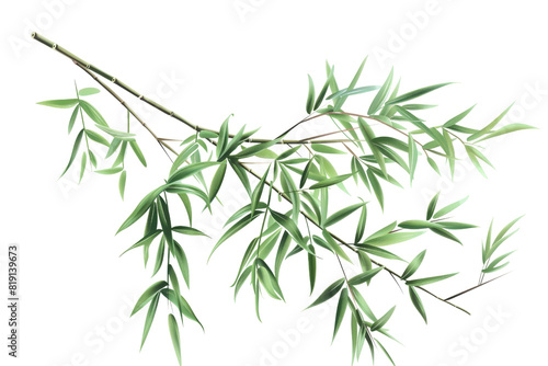 Illustration of bamboo leaves on a branch  detailed and green  perfect for nature  botanical themes  or Asian-inspired designs.