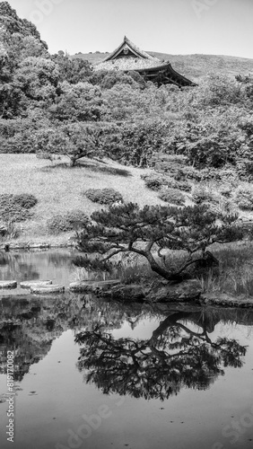 Nara, Japan. Isuien Garden and trees on a sunny spring day photo