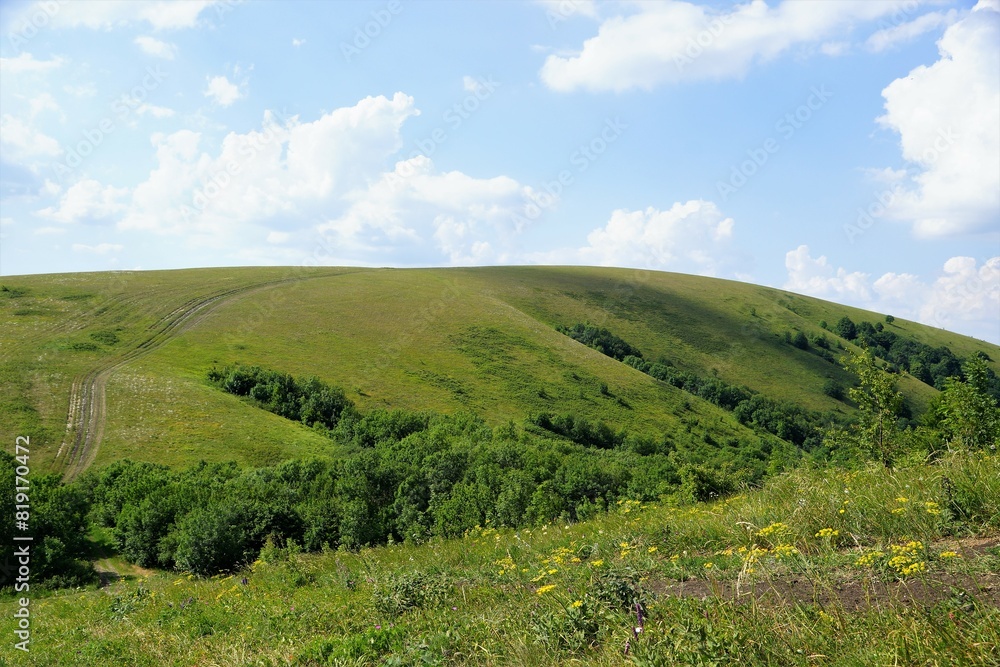 landscape with grass and sky landscape with grass and sky