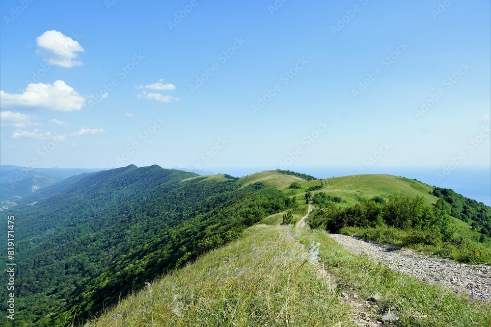 Naklejka premium landscape in the summer