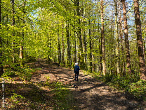 Wallpaper Mural Paseando Torontodigital.ca