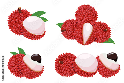 Lychee fruit vector Cartoon  isolated on white background