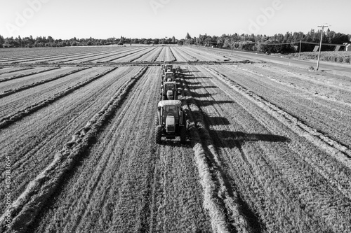 Принти на полотні tractors harvesting alfalfa photo in black and white