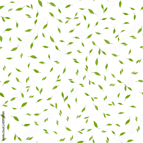 Summer plant vector illustration. Seamless pattern with many small green leaves on white background. Soft nature colors. Background decorative elements for design projects