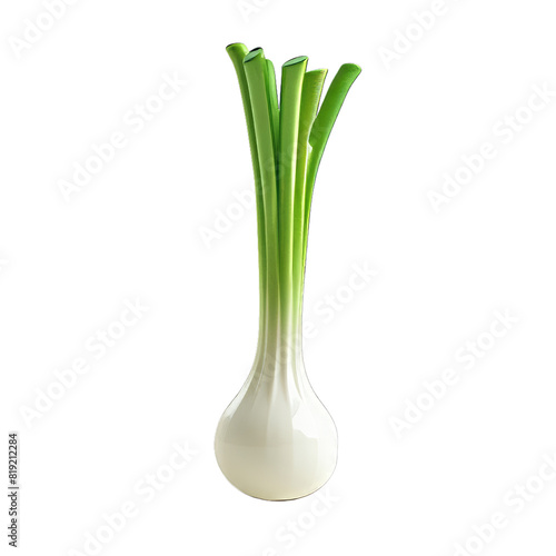 spring onion 3d illustration  isolated on transparent white background