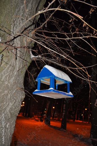 bird feeder in the park photo