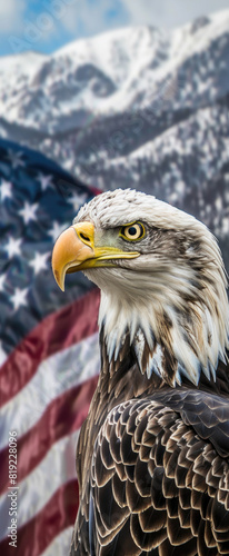 Portrait Eagle  close-up  looking at the camera. American Flag background.