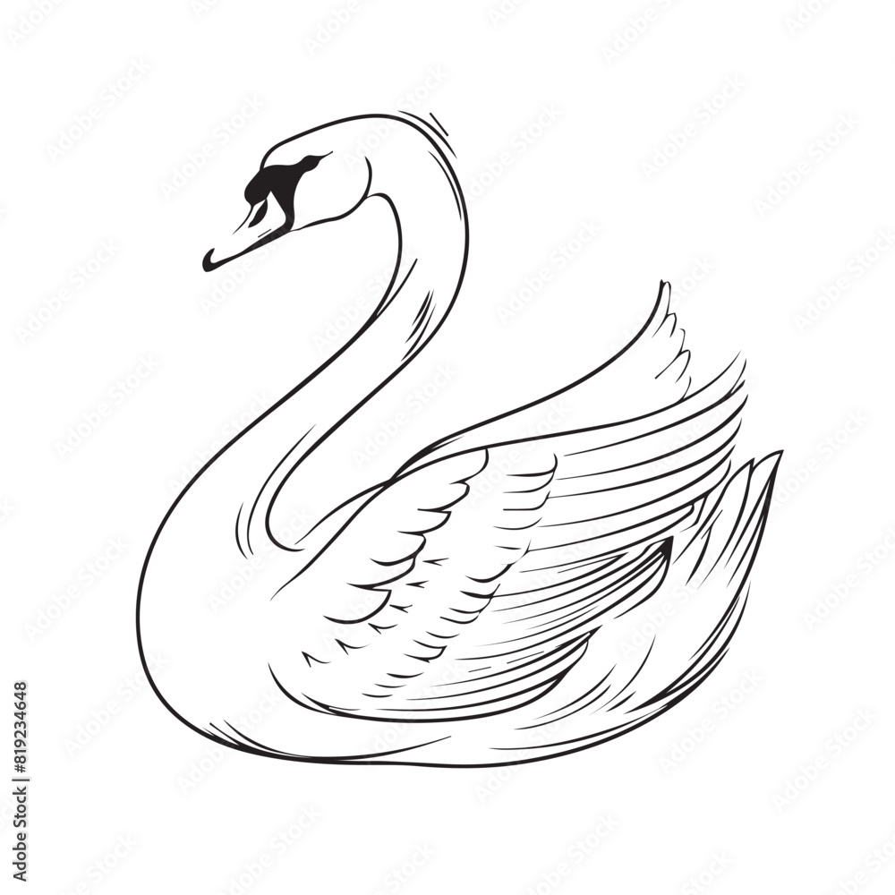 Fototapeta premium Swan in cartoon, doodle style. Image for t-shirt, web, mobile apps and ui. Isolated 2d vector illustration in logo, icon, sketch style, Eps 10. AI Generative
