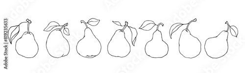 A set of linear sketches, contours of pear fruits. Vector graphics.