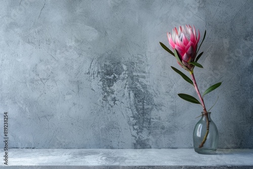 protea flower in a vase on gray grunge background copy space left  photo
