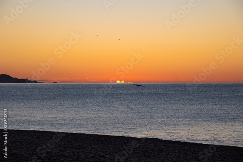 Fotografi Silhouette of seagulls flying across the Mediterranean Sea in calm waters illuminated by the first lights of dawn, creating optical illusions on the sea horizon line under an orange sky