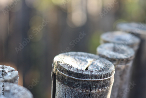 close-up of fence with blurred background