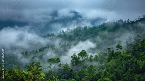 Fog Clouds. Tree Landscape Covered in Lush Clouds against Sky Background © Serhii