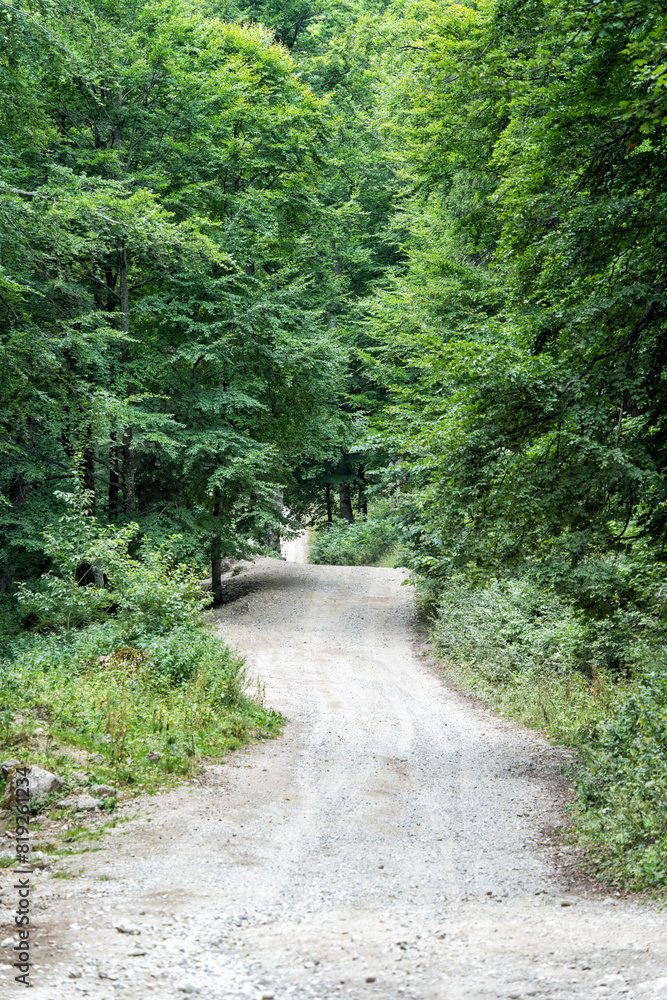 Empty gravel forest road in the mountains of Romania. Empty gravel forest road in the mountains of Romania.