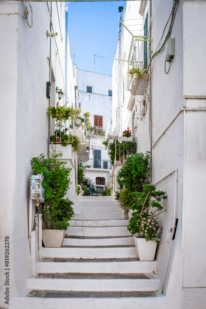 Fototapeta premium Discovering Locorotondo: The Heart of Puglia’s Scenic Valleys