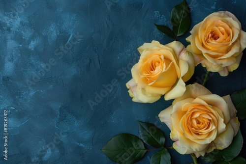 Yellow Rose Background. Three Beautiful Roses on Dark Blue Background 