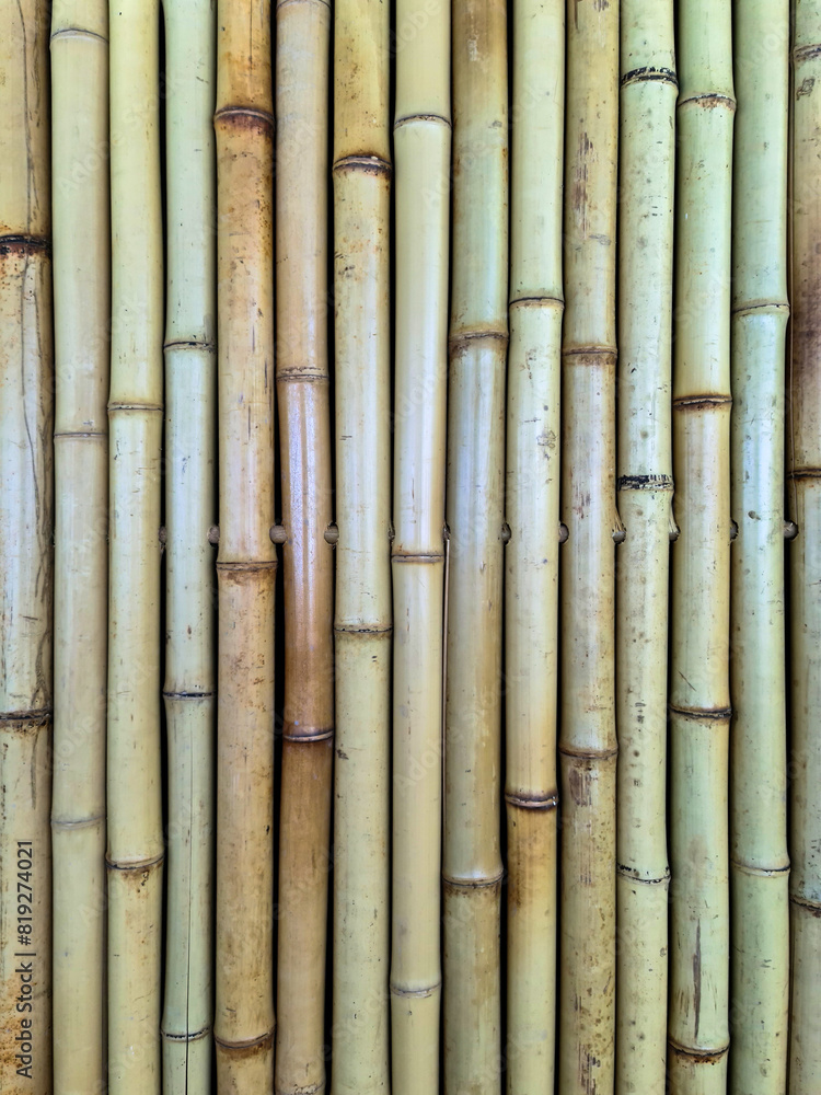 Close up view of the surface of a wall made of bamboo tubes. Close up view of the surface of a wall made of bamboo tubes.