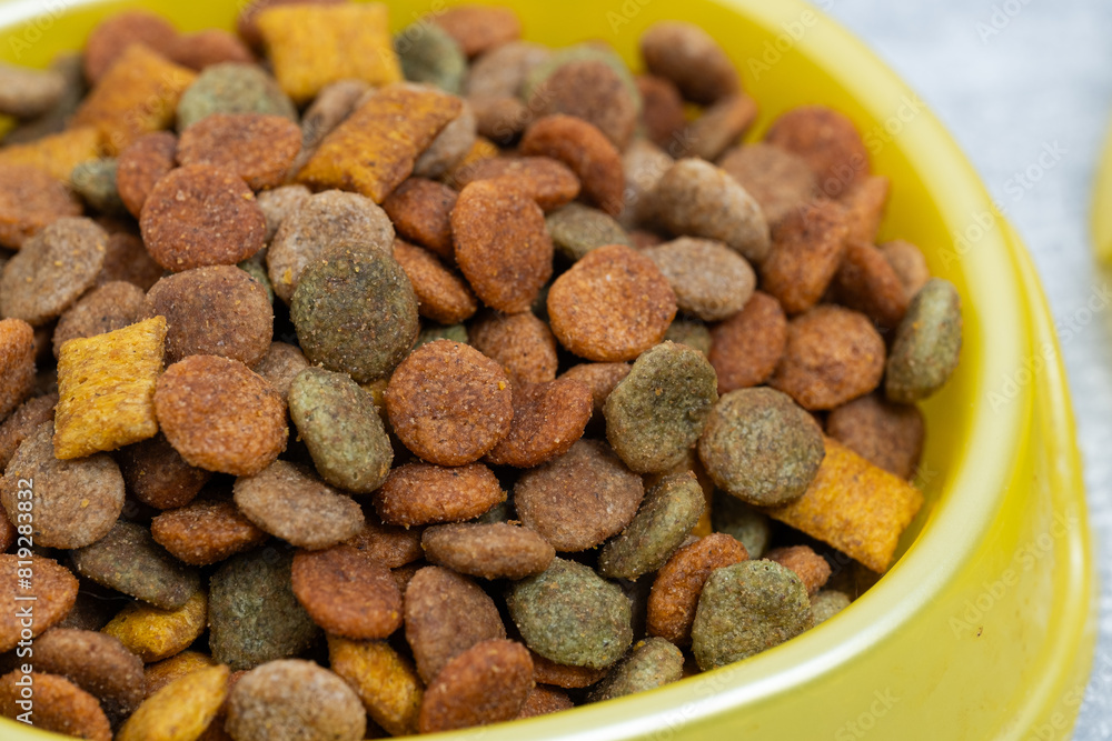 Cat dry food in yellow bowl closeup. Cat dry food in yellow bowl closeup.
