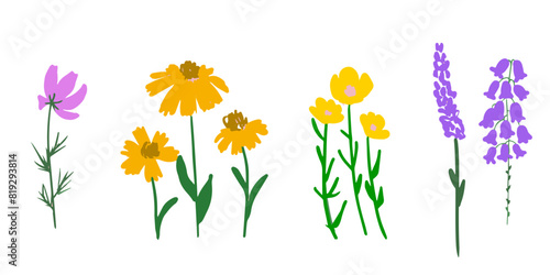Set of herbal meadow flowers isolated, folk style decor