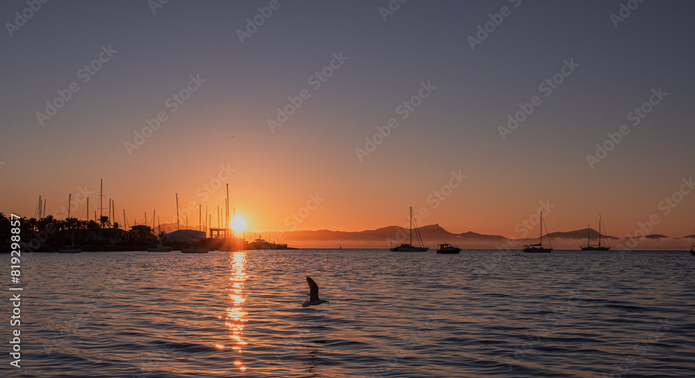 Naklejka premium Sea harbor at dawn. The sky, painted golden by the rising sun, is reflected in the calm ripples of the sea. The yachts stand out in beautiful silhouettes against the sky, bathed in the light of dawn