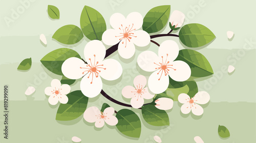 Vector illustration of cherry or apple flowers with