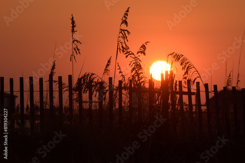 Sawgrass Silhouette at Sunset on Okaloosa Island, Florida photo