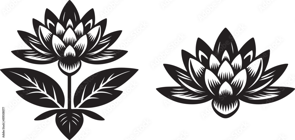 Obraz premium Lotus flower vector, white background, eps 10