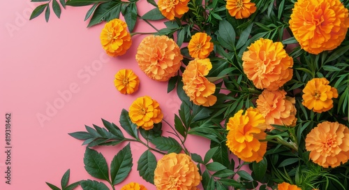 Orange Marigold Flowers on Pink Background