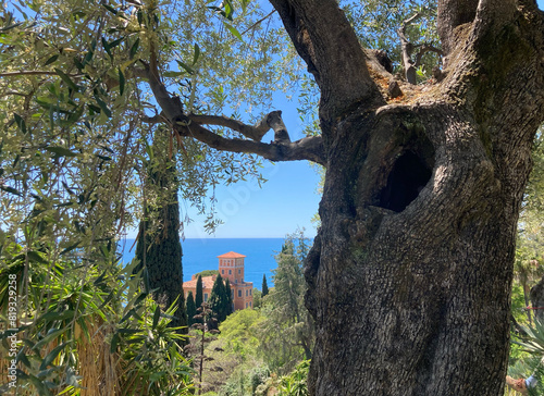 Giardini Hanbury mit der Villa Hanbury bei Ventimiglia, Italien photo